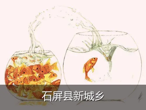 石屏县新城乡